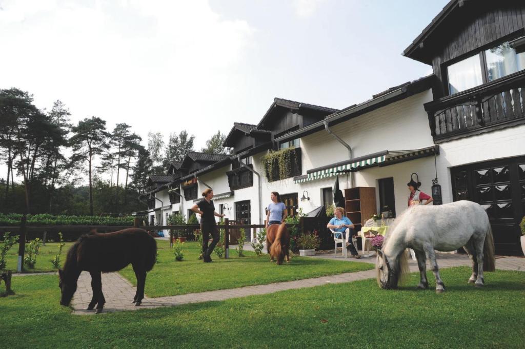 Landhotel Linden Am Venekotensee Niederkrüchten Eksteriør billede