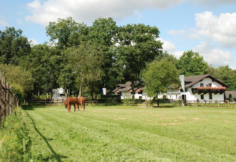 Landhotel Linden Am Venekotensee Niederkrüchten Eksteriør billede