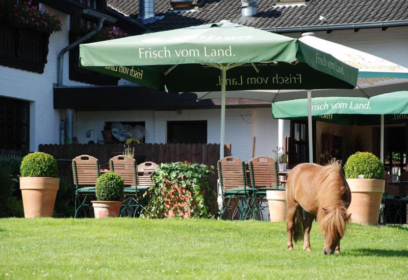 Landhotel Linden Am Venekotensee Niederkrüchten Eksteriør billede